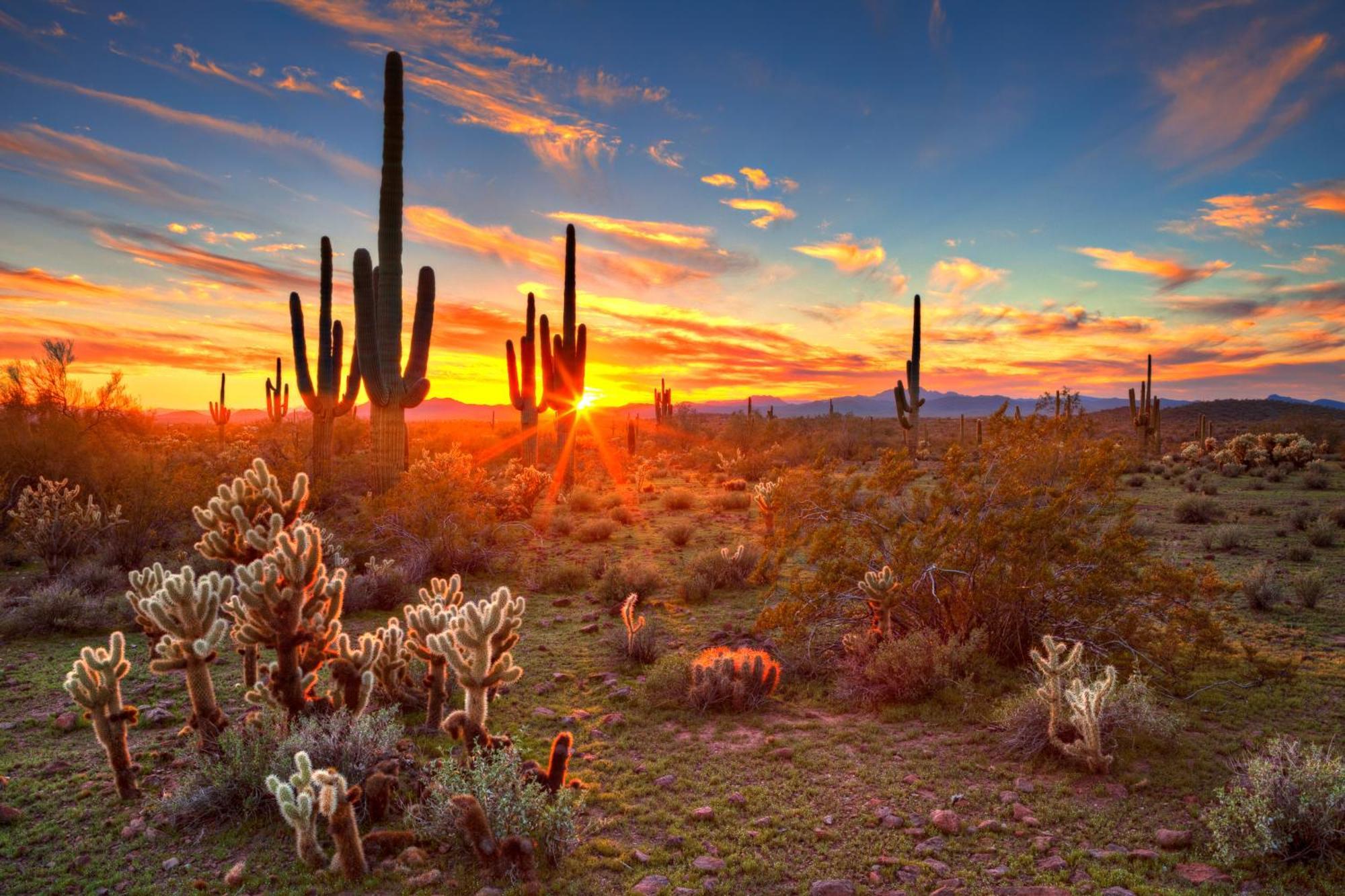Clubgate Villa & Kierland Escape Scottsdale Oda fotoğraf