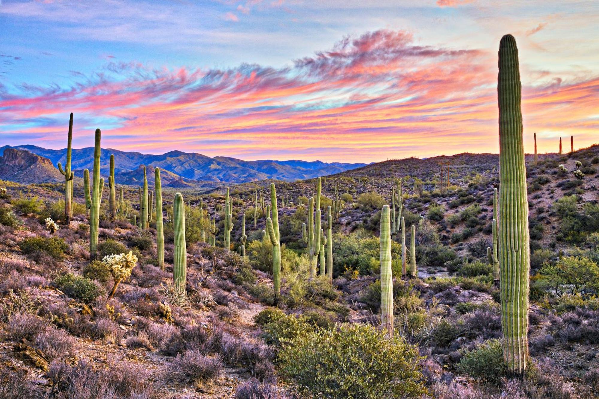 Clubgate Villa & Kierland Escape Scottsdale Oda fotoğraf